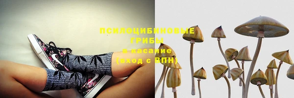 амф Володарск