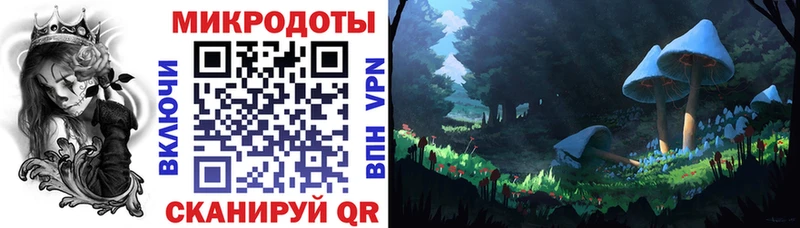 Купить где  Дорогобуж  Псилоцибиновые грибы MAGIC MUSHROOMS 